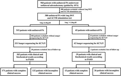 The influence of cortisol co-secretion on clinical characteristics and postoperative outcomes in unilateral primary aldosteronism